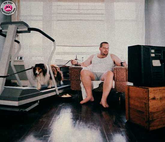 Image d'un gros lard vautré sur un fauteuil devant la télé, bouffant des sucreries et tenant en laisse un chien courant sur un tapis roulant d'exercice...
